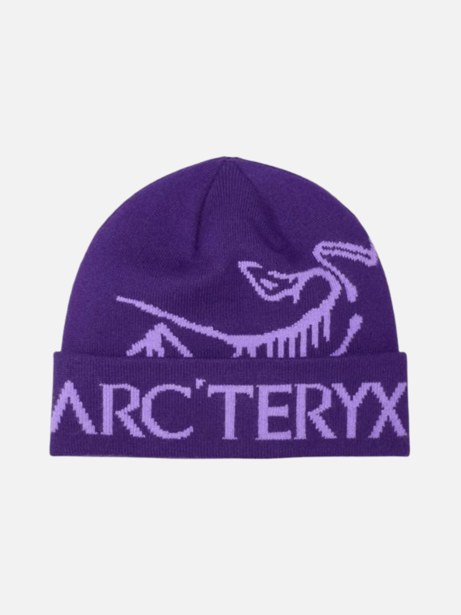Arc'teryx Bird Word Toque Beanie