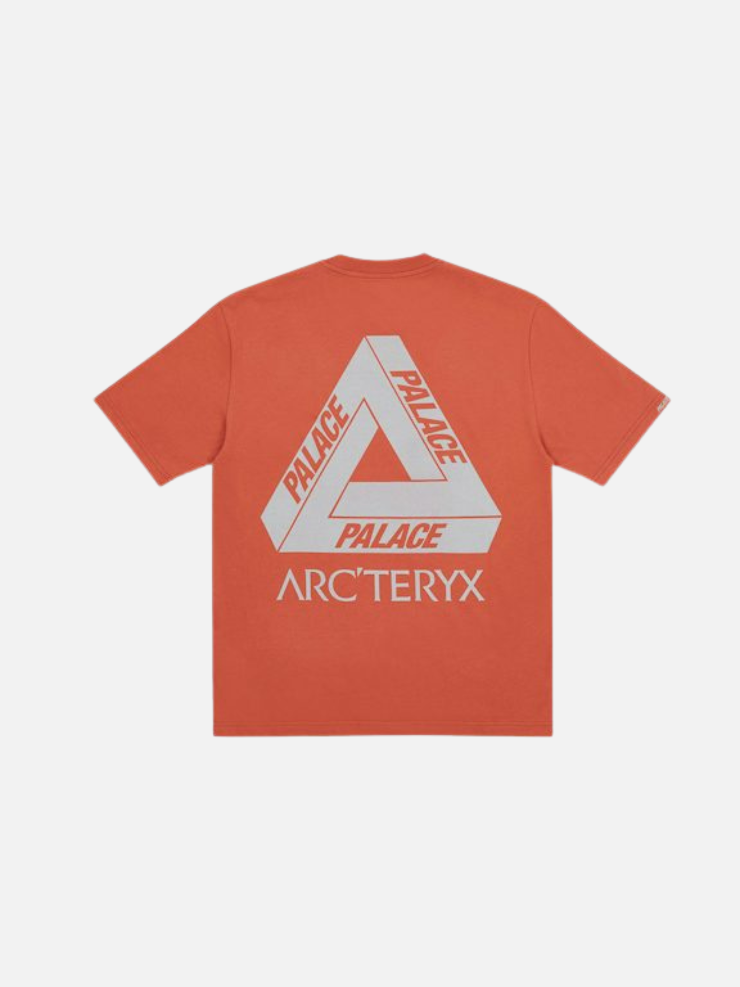 Palace Arc'teryx T-shirt (2)
