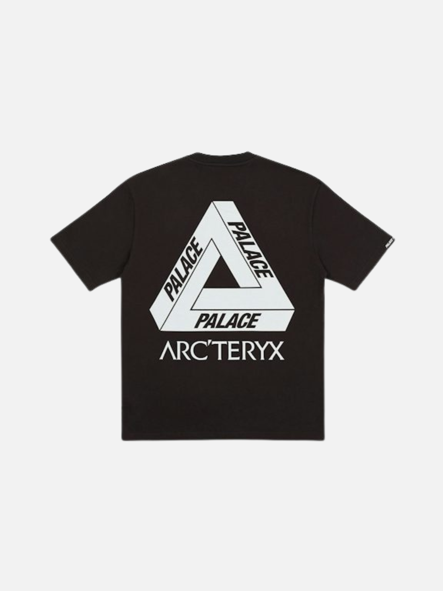 Palace Arc'teryx T-shirt (5)