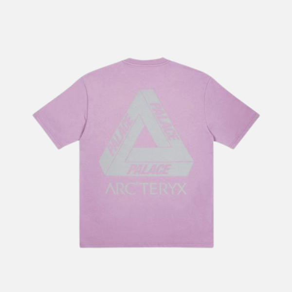 Palace Arc'teryx T-shirt Haze